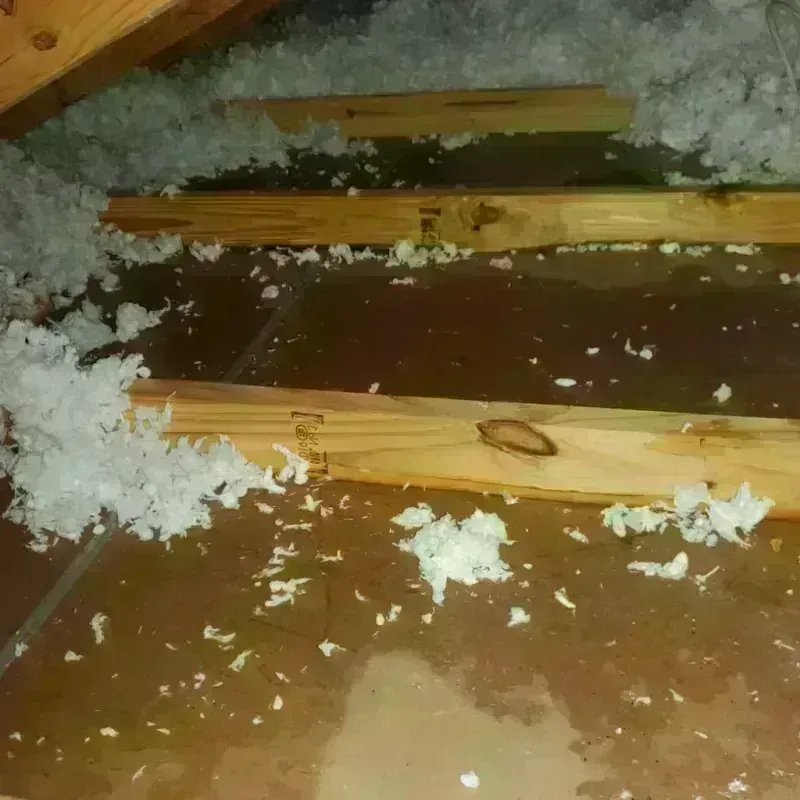 Attic Water Damage in Cambridge City, IN